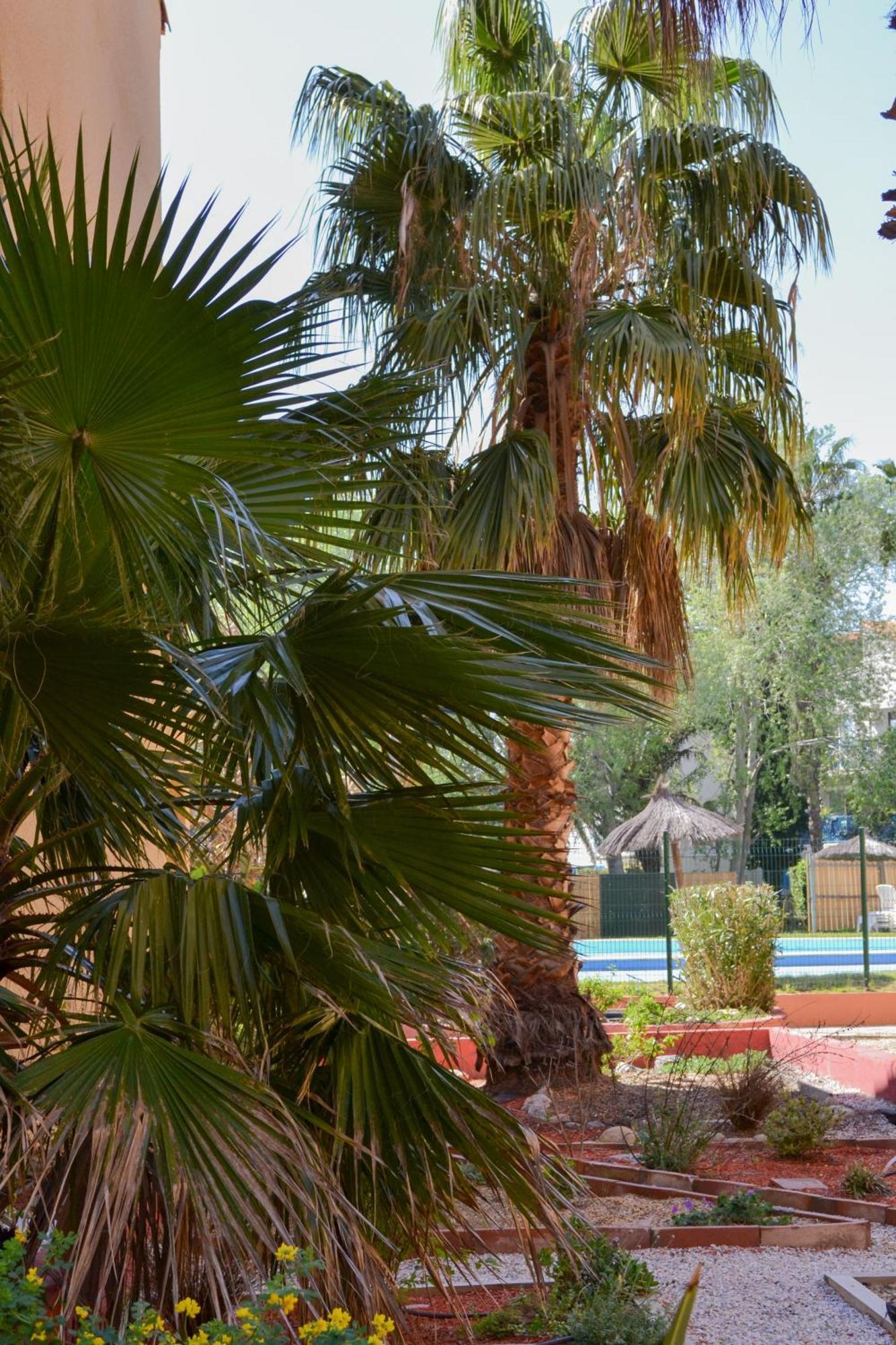Malibu Village Canet-en-Roussillon Buitenkant foto
